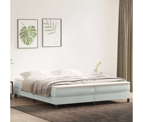 Cama box spring sin colchón terciopelo gris claro 200x210 cm