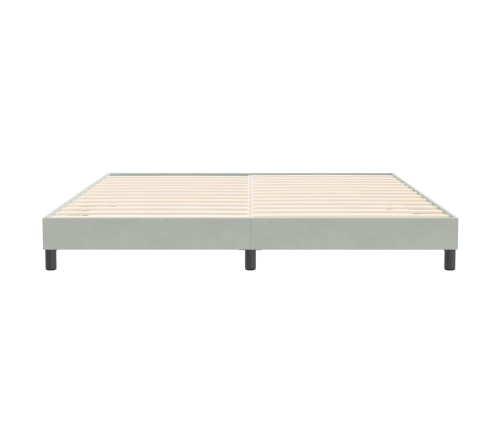 Cama box spring con colchón terciopelo gris claro 200x220 cm