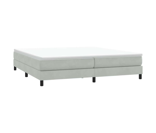 Cama box spring con colchón terciopelo gris claro 180x220 cm