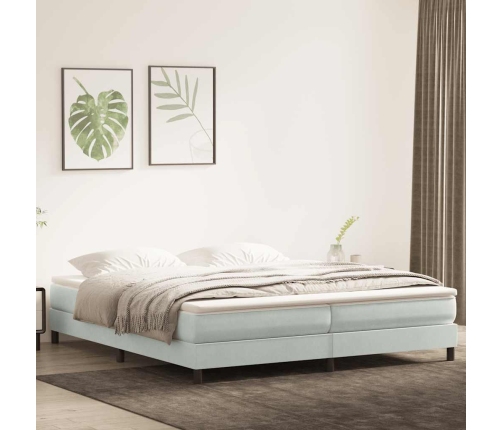 Cama box spring con colchón terciopelo gris claro 180x220 cm