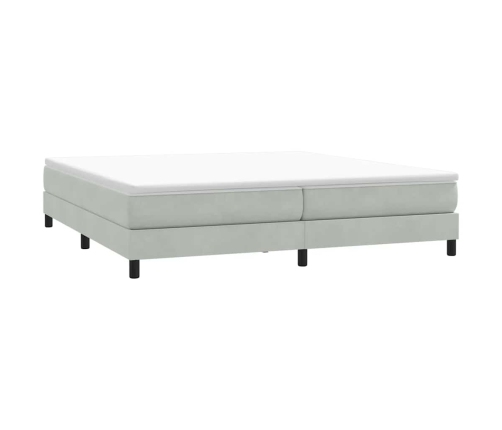 Cama box spring con colchón terciopelo gris claro 200x220 cm