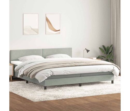 Cama box spring con colchón terciopelo gris claro 180x210 cm