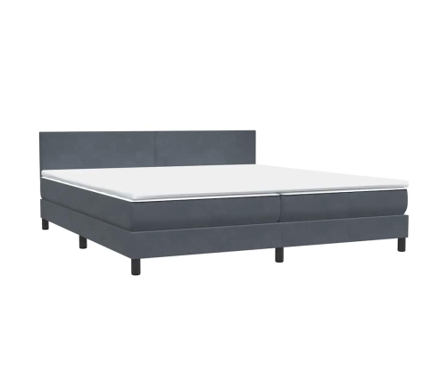 Cama box spring con colchón terciopelo gris oscuro 200x210 cm