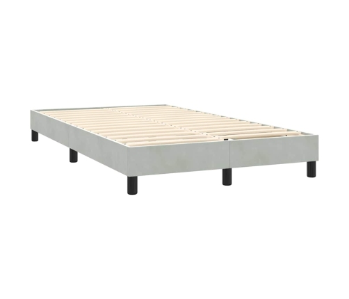 Cama box spring con colchón terciopelo gris claro 120x220 cm