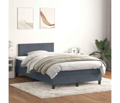 Cama box spring con colchón terciopelo gris oscuro 120x220 cm