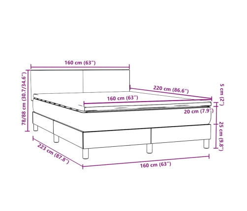 Cama box spring con colchón terciopelo gris claro 160x220 cm