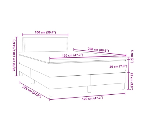 Cama box spring con colchón terciopelo gris claro 120x220 cm