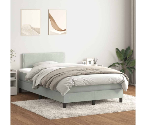 Cama box spring con colchón terciopelo gris claro 120x220 cm