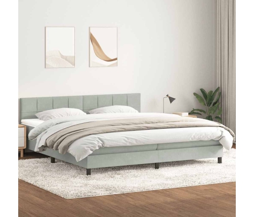 Cama box spring con colchón terciopelo gris claro 180x210 cm