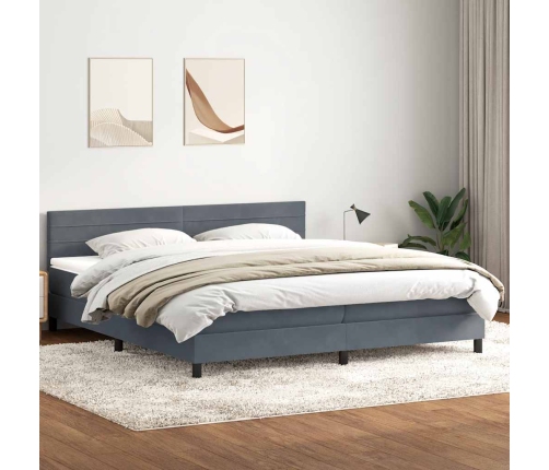 Cama box spring con colchón terciopelo gris oscuro 180x210 cm