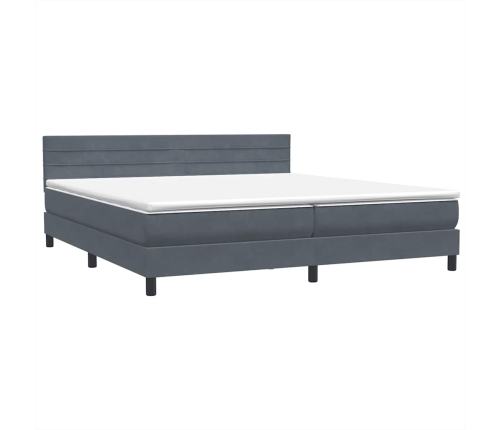 Cama box spring con colchón terciopelo gris oscuro 200x210 cm