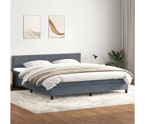 Cama box spring con colchón terciopelo gris oscuro 200x210 cm