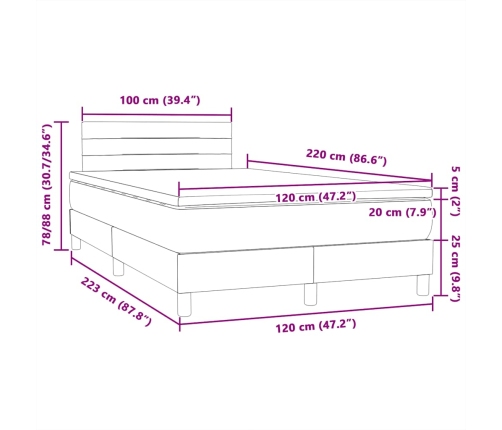 Cama box spring con colchón terciopelo gris oscuro 120x220 cm