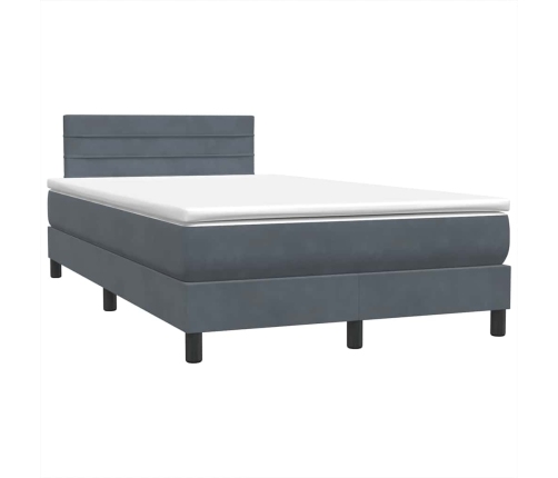 Cama box spring con colchón terciopelo gris oscuro 120x220 cm