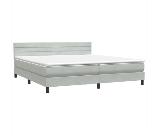 Cama box spring con colchón terciopelo gris claro 200x220 cm