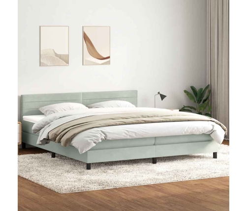 Cama box spring con colchón terciopelo gris claro 200x220 cm