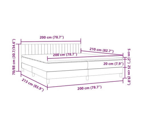 Cama box spring con colchón terciopelo gris oscuro 200x210 cm