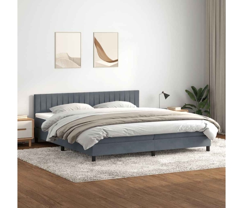 Cama box spring con colchón terciopelo gris oscuro 200x210 cm