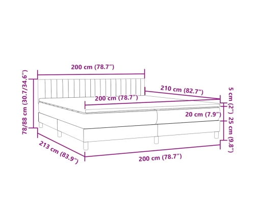 Cama box spring con colchón terciopelo verde oscuro 200x210 cm