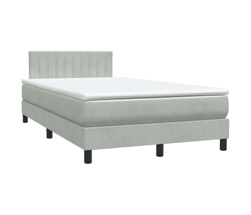 Cama box spring con colchón terciopelo gris claro 120x220 cm