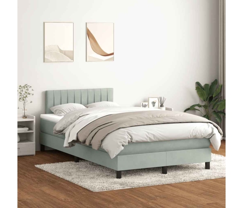 Cama box spring con colchón terciopelo gris claro 120x220 cm