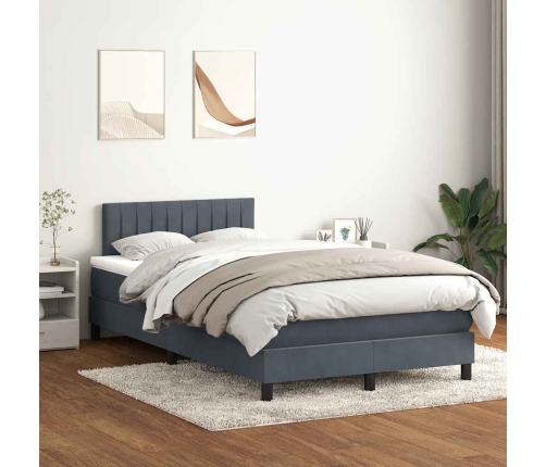 Cama box spring con colchón terciopelo gris oscuro 120x220 cm