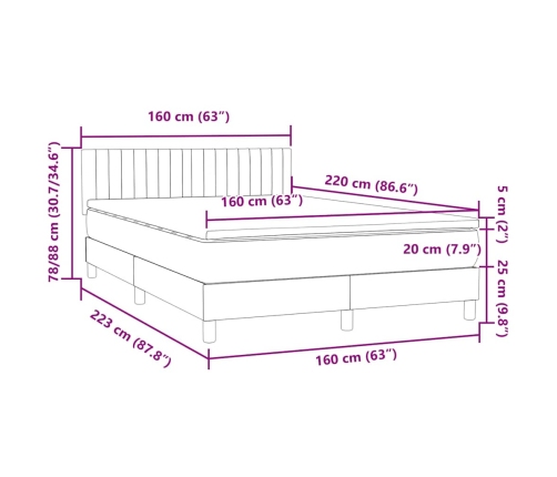 Cama box spring con colchón terciopelo gris claro 160x220 cm