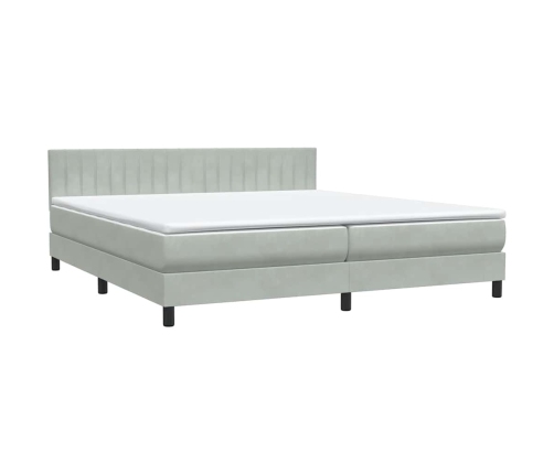 Cama box spring con colchón terciopelo gris claro 180x220 cm