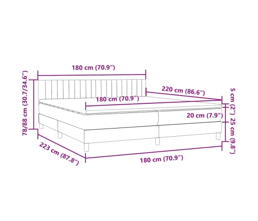 Cama box spring con colchón terciopelo gris claro 180x220 cm