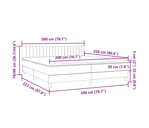 Cama box spring con colchón terciopelo azul oscuro 200x220 cm