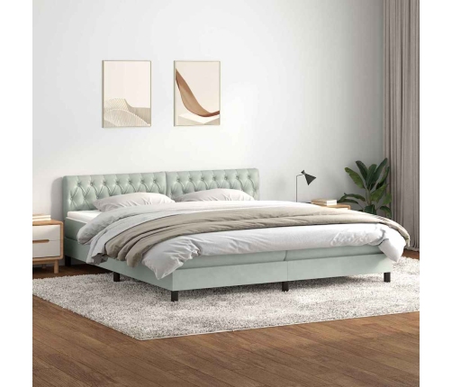 Cama box spring con colchón terciopelo gris claro 180x210 cm