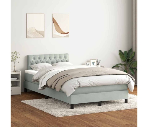 Cama box spring con colchón terciopelo gris claro 120x220 cm