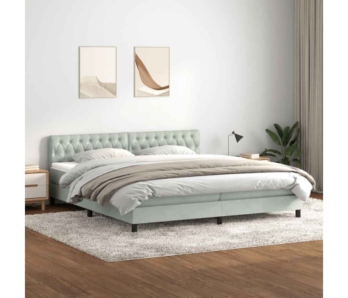 Cama box spring con colchón terciopelo gris claro 180x220 cm