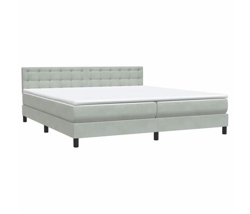 Cama box spring con colchón terciopelo gris claro 180x210 cm