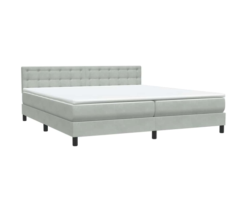 Cama box spring con colchón terciopelo gris claro 200x210 cm