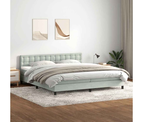 Cama box spring con colchón terciopelo gris claro 200x210 cm