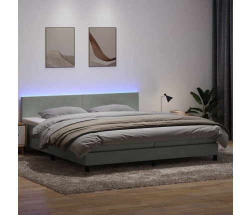 Cama box spring con colchón terciopelo gris claro 200x210 cm