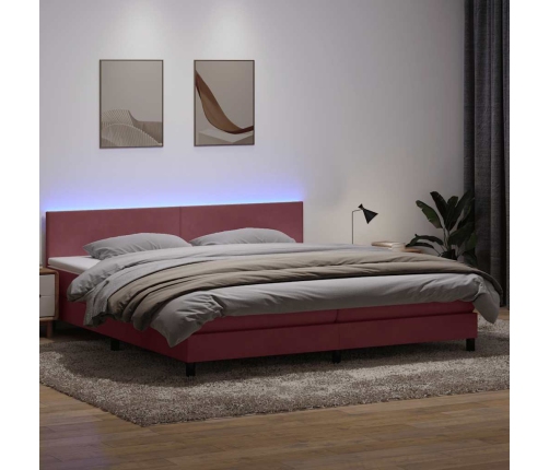 Cama box spring con colchón terciopelo rosa 200x210 cm