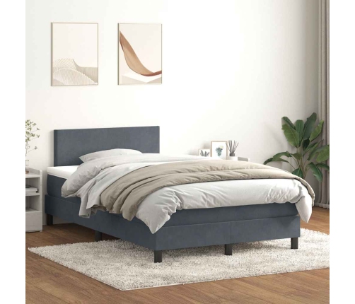 Cama box spring con colchón terciopelo gris oscuro 120x220 cm