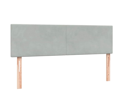 Cama box spring con colchón terciopelo gris claro 160x220 cm