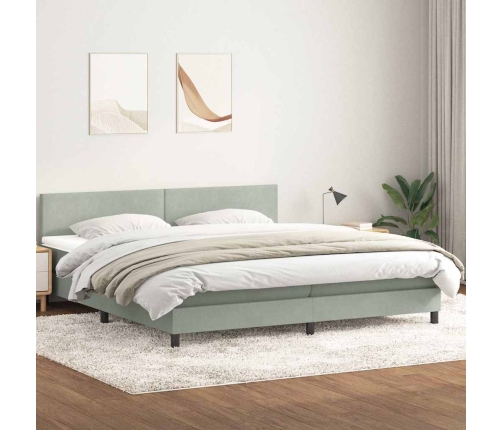 Cama box spring con colchón terciopelo gris claro 180x220 cm