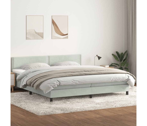 Cama box spring con colchón terciopelo gris claro 180x210 cm