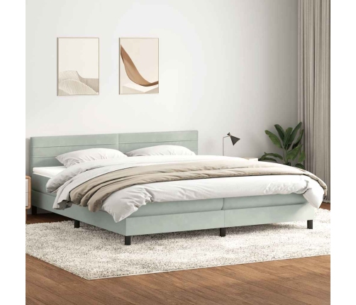 Cama box spring con colchón terciopelo gris claro 180x210 cm