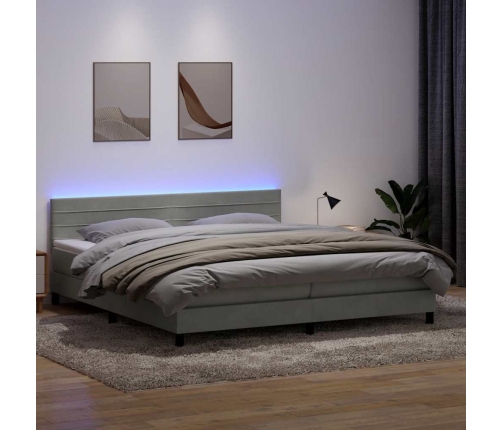 Cama box spring con colchón terciopelo gris claro 180x210 cm