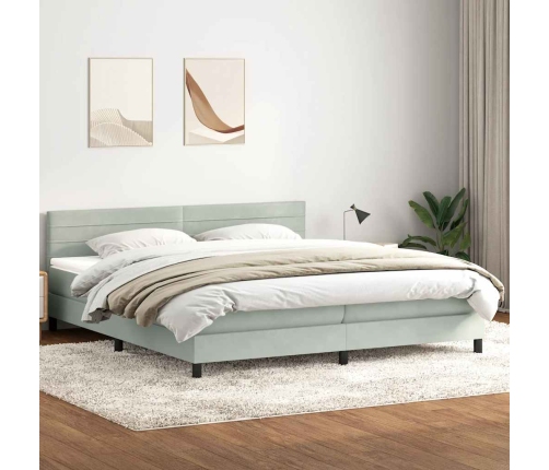 Cama box spring con colchón terciopelo gris claro 180x220 cm