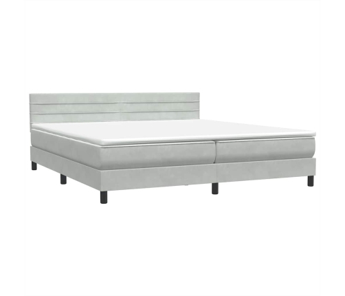 Cama box spring con colchón terciopelo gris claro 180x220 cm