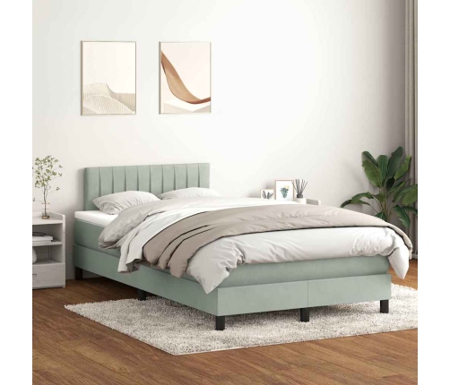 Cama box spring con colchón terciopelo gris claro 120x210 cm