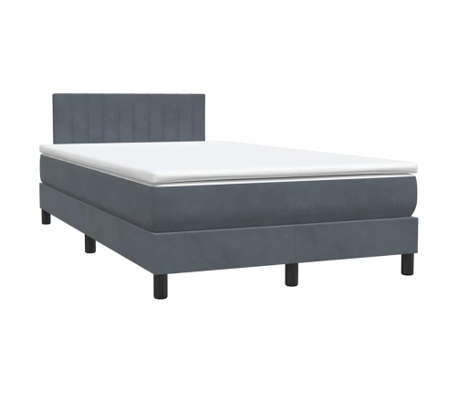 Cama box spring con colchón terciopelo gris oscuro 120x210 cm