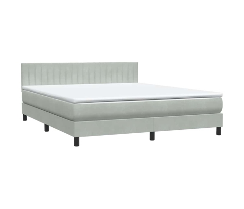 Cama box spring con colchón terciopelo gris claro 180x220 cm