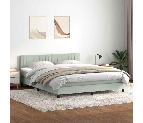 Cama box spring con colchón terciopelo gris claro 180x220 cm